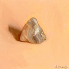 Banded Rock | Pierre rubanée