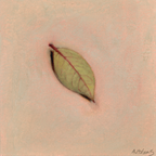 Blueberry Leaf | Feuille de bleuet