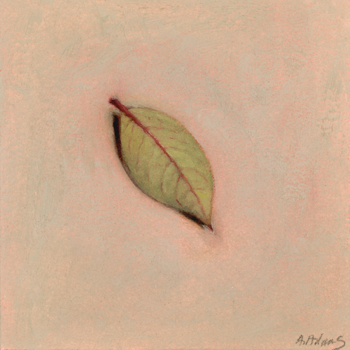 Blueberry Leaf | Feuille de bleuet