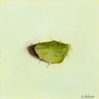 Cactus Leaf | Feuille de cactus