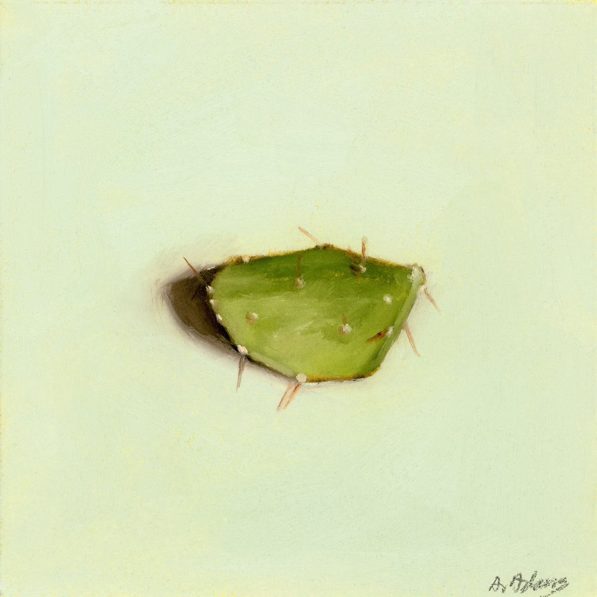 Cactus Leaf | Feuille de cactus