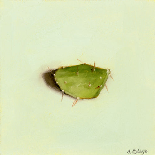 Cactus Leaf | Feuille de cactus
