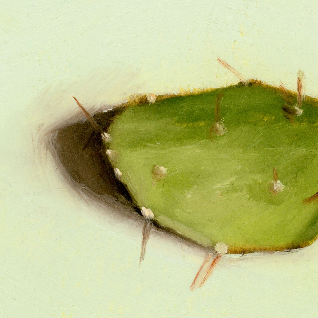Cactus Leaf | Feuille de cactus