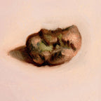 Copper Nugget | Pépite de cuivre