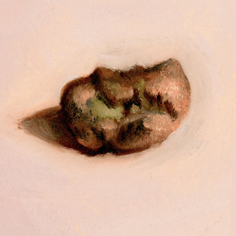 Copper Nugget | Pépite de cuivre
