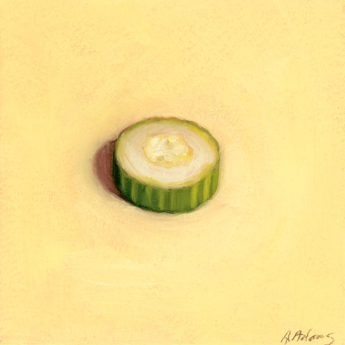 Cucumber | Concombre