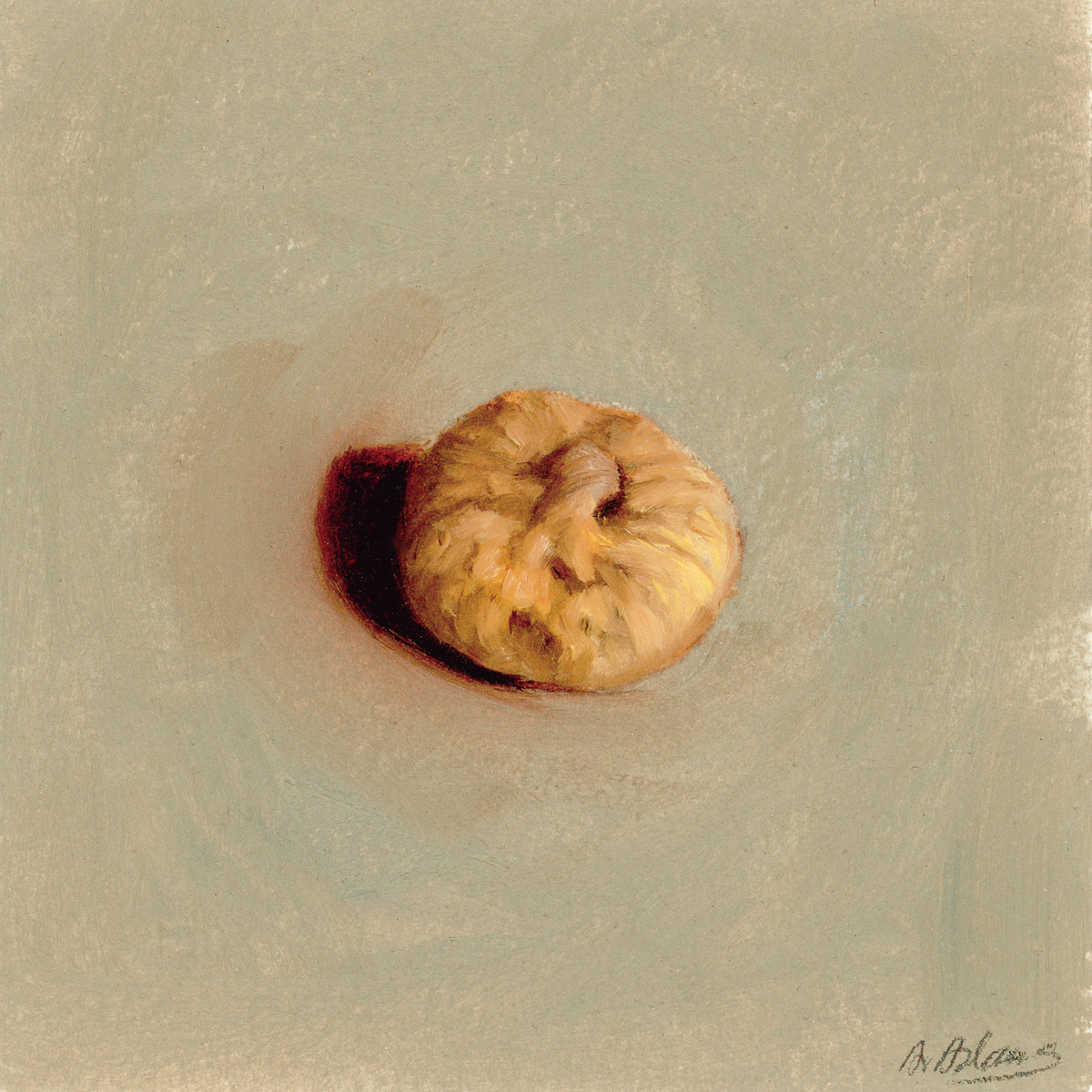 Dried Fig | Figue séchée