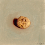 Dried Fig | Figue séchée