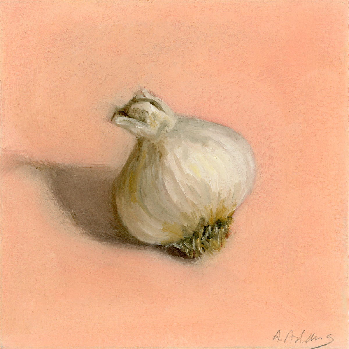 Garlic | Ail