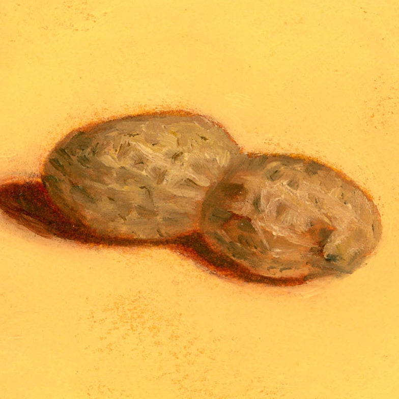 Peanut | Arachide