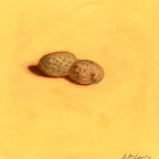 Peanut | Arachide
