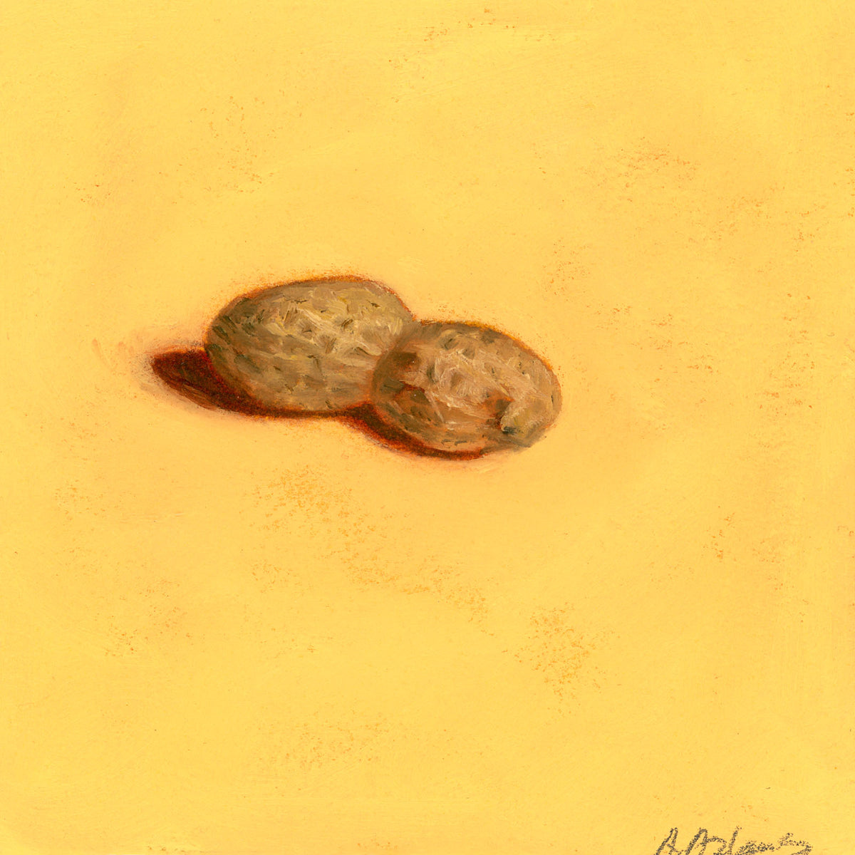 Peanut | Arachide