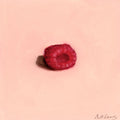 Raspberry | Framboise