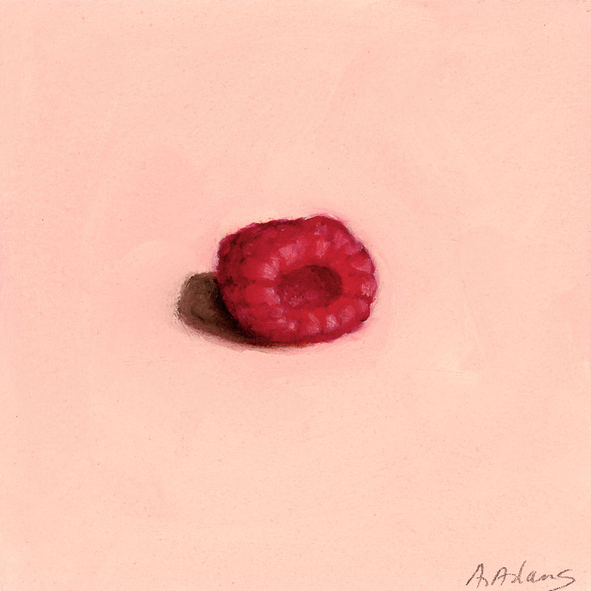 Raspberry | Framboise