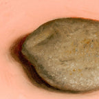 Skipping Rock | Pierre à faire des ricochets