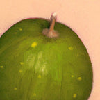 Watermelon | Melon d'eau