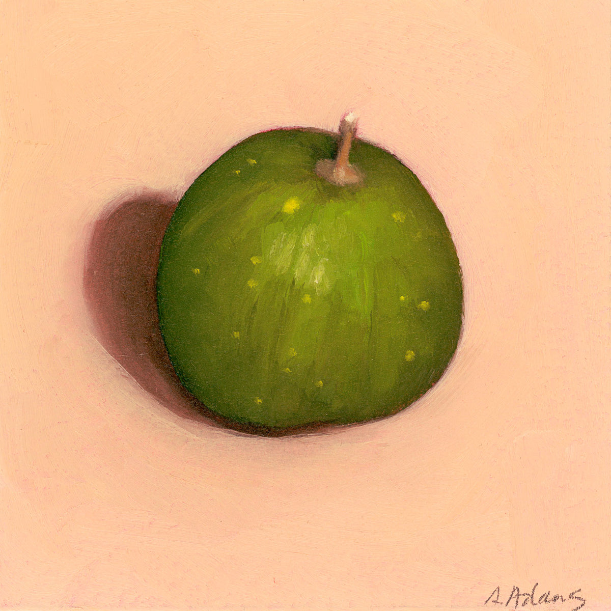 Watermelon | Melon d'eau